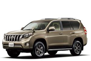 Эва-коврики на Toyota Land Cruiser Prado 150 SERIES ЛЕВЫЙ РУЛЬ РЕСТАЙЛИНГ  2013 -