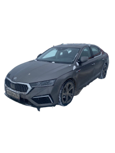 Skoda Octavia Pro (China) 2020-