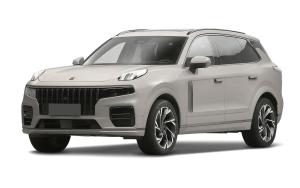 Эва-коврики на Lynk&Co 09 2021-